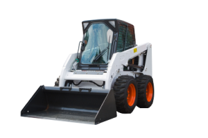 Picture of a Bobcat